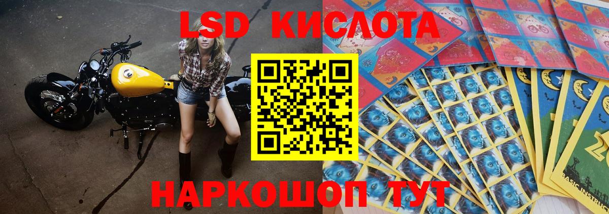 LSD-25 экстази ecstasy  Вход с VPN  ЛСД экстази  Майкоп 