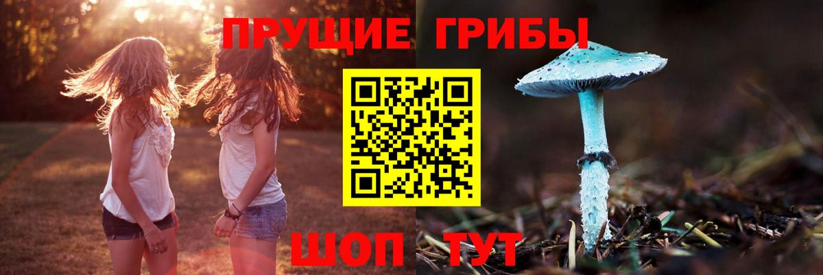 Галлюциногенные грибы Magic Shrooms Майкоп